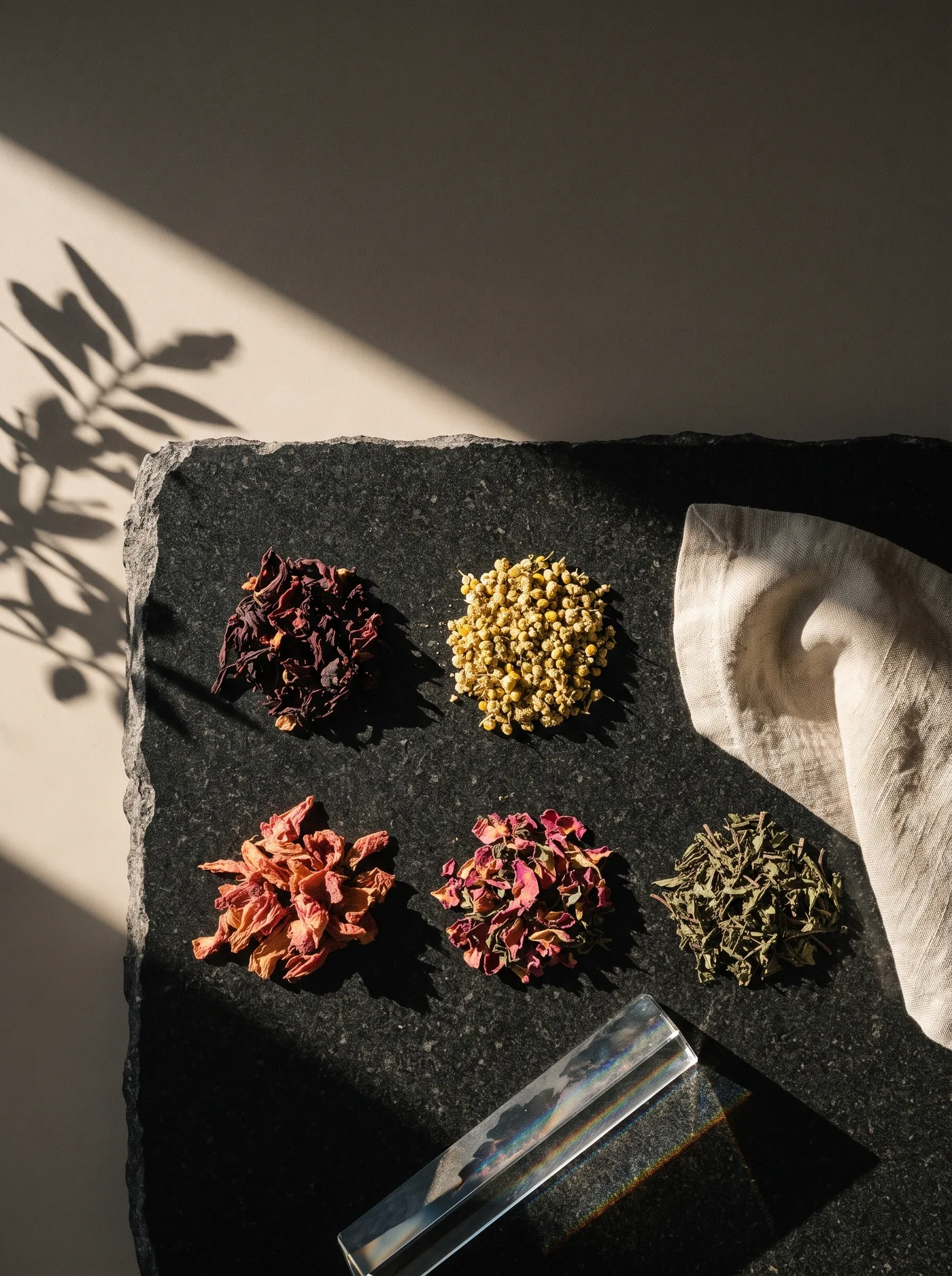Hibiscus, chamomile, rhododendron, apple rose and spearmint arranged on a granite slab in raking light