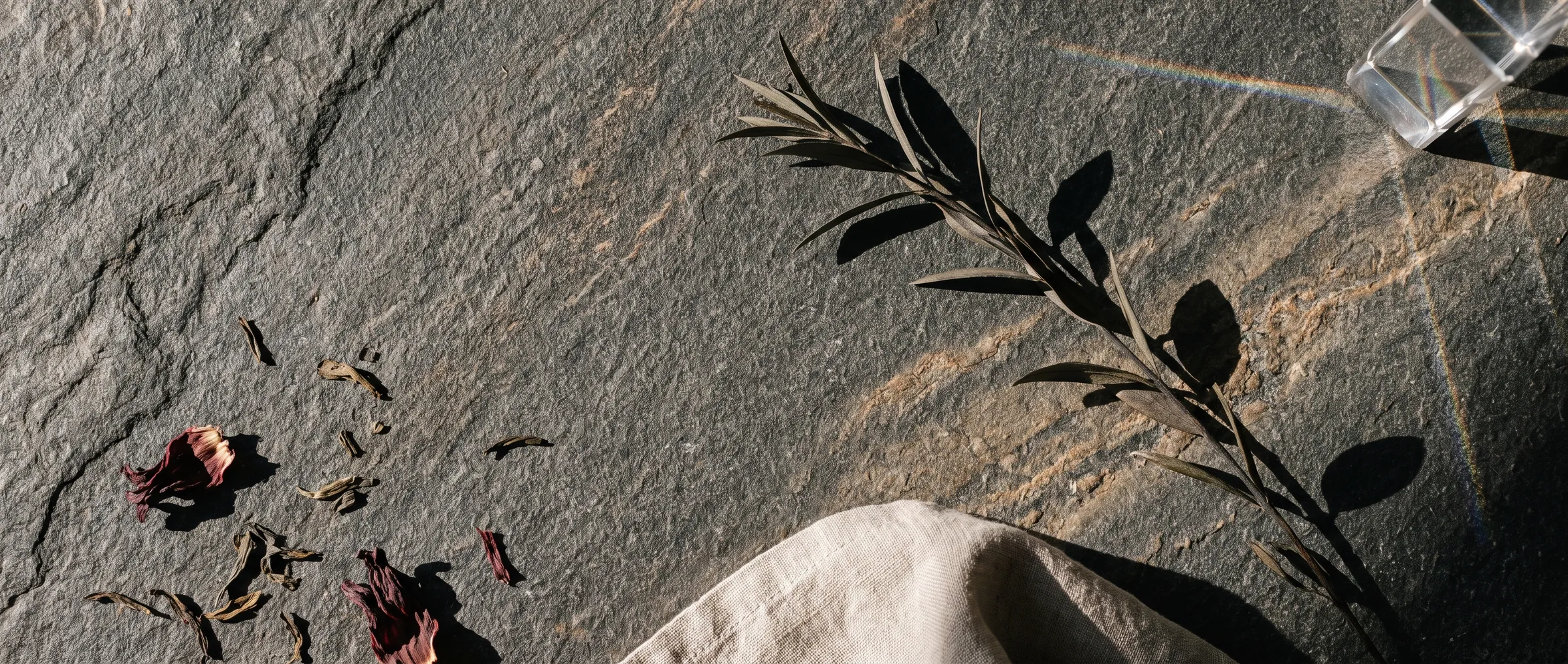 Loose tea leaves and dried petals scattered across a granite slab in raking light